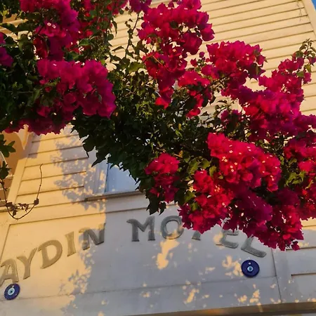 Aydin Île de Marmara