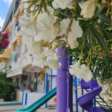 Aydin Île de Marmara